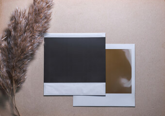 Two Blank photo frames with reed on brown background