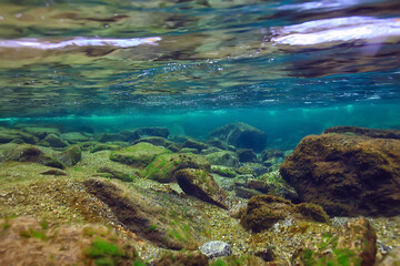 Fototapeta na wymiar underwater fresh water landscape, mountain lake ecosystem background in summer, under water view