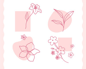 Line hand drawn floral plants. Long stem rose. Hand drawn color block vector illustration