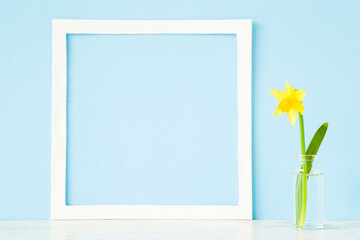 One fresh yellow narcissus with green leaf in glass vase on table at light blue wall background. Pastel color. Empty place for inspirational, sentimental text, lovely quote or sayings in white frame. - obrazy, fototapety, plakaty