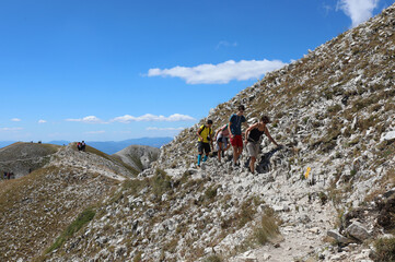 family of 4 with three children and mum walking in the mountains