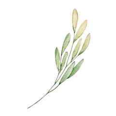 Obraz premium Watercolor spring branch
