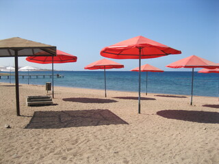 umbrellas on the beach