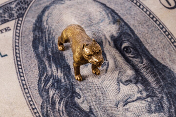 figurine of a pit bull terrier on a portrait of Benjamin Franklin on a dollar bill