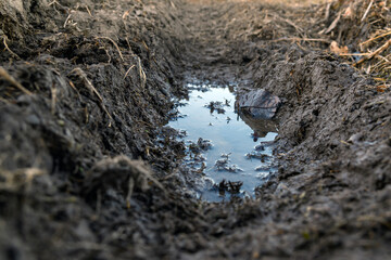 Water in tractor tire footprints.