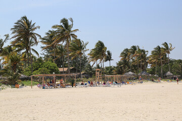 Fototapeta premium Kuba - Cayo Coco - Traum-Strand (Karibik)