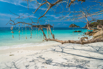 Obraz na płótnie Canvas Shell hanging mobile on beautiful tropical island beach south Andaman. Summer beach holiday concept.