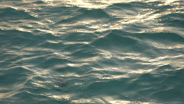 Ocean life. Sun reflecting on sparkling blue sea, ocean at sunset, sunrise. Pacific ocean. Calm water. Sea. Nature concept.