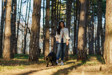 Fototapeta premium A smiling young attractive woman playing and walking with her Labrador puppy in a city park. The concept of pet and animal care.