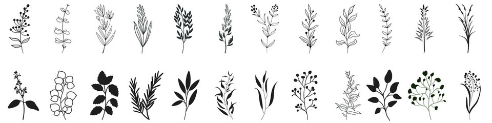 Herbs icon vector set. herbarium illustration sign collection. herb symbol. plant logo.
