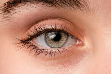 Close up, macro photo of o female eye, iris, pupil, eye lashes, eye lids.