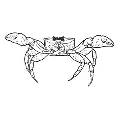 Crab on white background. Drawn by hand with pen and ink. Hand drawn monochrome seafood illustration. Vector crab drawing.