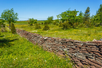 Flowering summer meadow with a stone wall of limestone