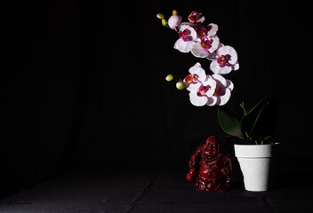 buddha felice con fiore