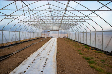 Naklejka premium Empty vegetable greenhouse prepared with row covers