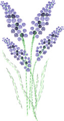 Embroidered Lavender Flower Colored Illustration © Good Studio