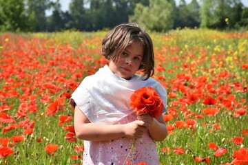 little girl in poppy field