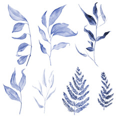 Watercolor set of blue branches and ferns on a white background