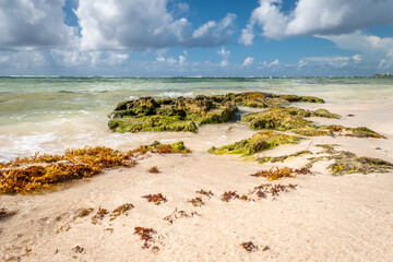 Fototapeta premium Paradise beach Akumal on the Caribbean coast of the Gulf of Mexico. White sand and azure clear water. Mexico, Riviera Maya