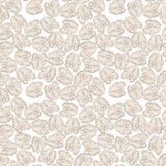 Obraz premium Decorative patterns of simple walnut kernel illustrations on a white background