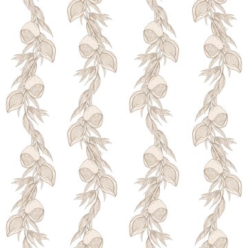 Floral stripe pattern, seamless, with linear, hatched almond nut illustrations