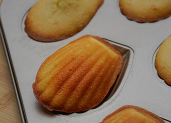 Sourdough Madeleine. A little sweet on an overcast day.