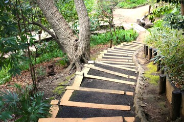 おとめ山公園