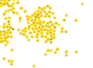 Millet groats isolated on a white background.