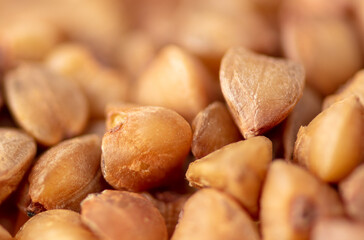 Close-up of buckwheat groats as background.