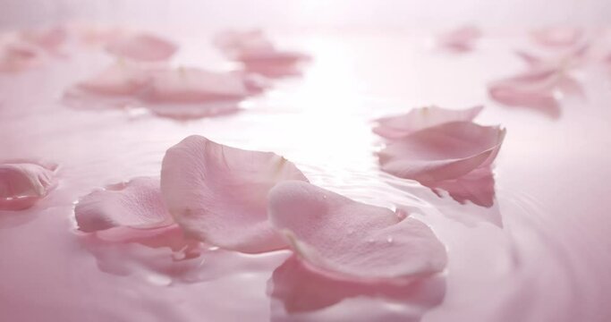 Calm clear water with falling pink rose petals