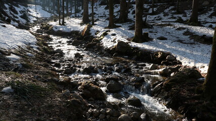 Waldweg vorbei an Flüssen der zu einem See mit Bergen führt