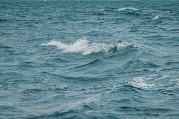 Waves of the mediterranean sea