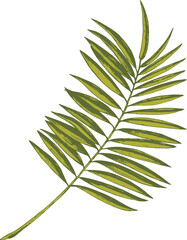 Tropical Leaf Branch Hand Drawn Illustration