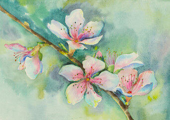 cherry blossom branch - 495081565