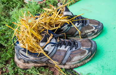 a wet sneakers filled with hay