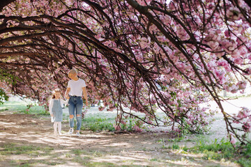 Fototapeta premium Family (mother and children) on a spring city street under the branches of blooming pink sakura. Sakura blossomed. Young mother with baby having fun in the park near sakura.