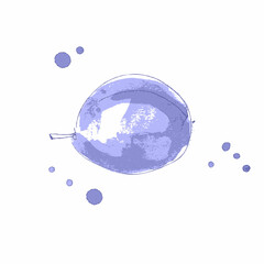 Hand drawn realistic blue plum isolated on a white background. Fresh healthy organic vegan food. Doodle vector illustration for decor and design.