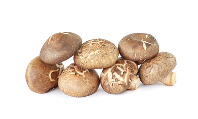 Shiitake mushroom isolated on White background