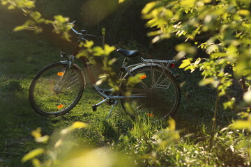 bicycle in nature, bike, cycling, sport, cycle, mountain, wheel, grass, old, nature, outdoors, biking, travel, ride, cyclist, park, activity, leisure, spring, biker, vintage, exercise