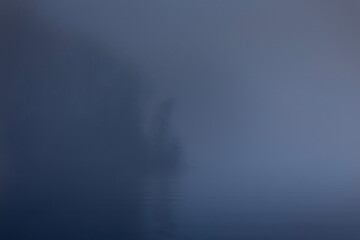 Lakeside deep in the mist. Lake James State Park, North Carolina.
