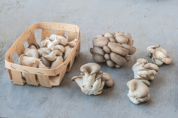 Basket  oyster mushrooms