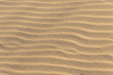 Ripples in the sand at Carolina Beach, North Carolina