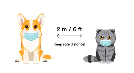 Keep safe distance 2 m 6 ft. Coronavirus infection spreading prevention information sign with cute Welsh Corgi Pembroke and Scottish Fold cat wearing medical face masks