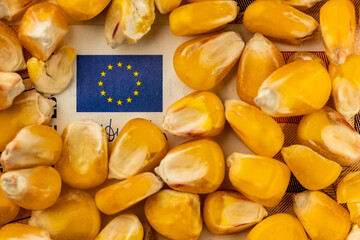 European Union flag from 50Eur bill with lot of corn grain. Object lit with a uniform, soft light.