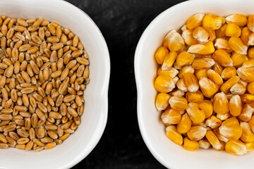 Top view of wheat and corn grain inside white bowls on black, stone surface. Scene lit with artificial, soft light.