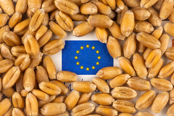 European Union flag from 50Eur bill with lot of wheat grain. Object lit with a uniform, soft light.