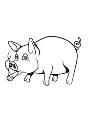 Schwein Ferkel Tier 