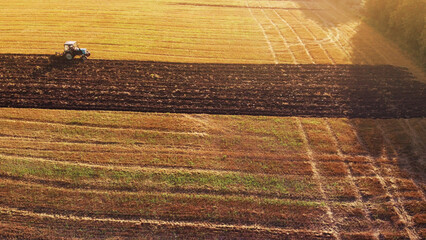Aerial view on the combines and tractors working on the large wheat field