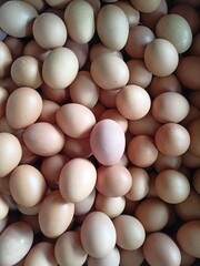 White eggs background