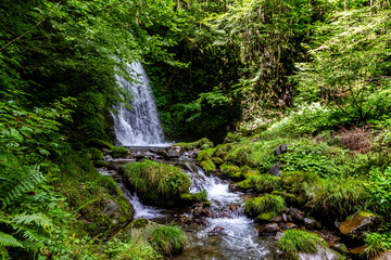 イノシシ滝　飛騨高山かくれはキャンプ場　初秋９月　